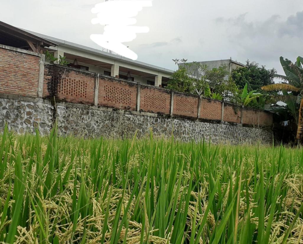 Surya Lombok Accommodation Selong Belanak Exteriér fotografie