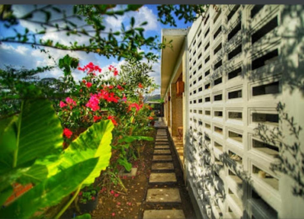 Surya Lombok Accommodation Selong Belanak Exteriér fotografie